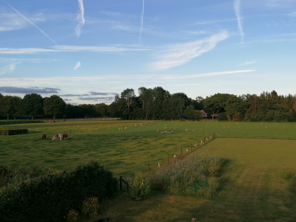 IMG_20220711_204042_resized_20220731_073006943