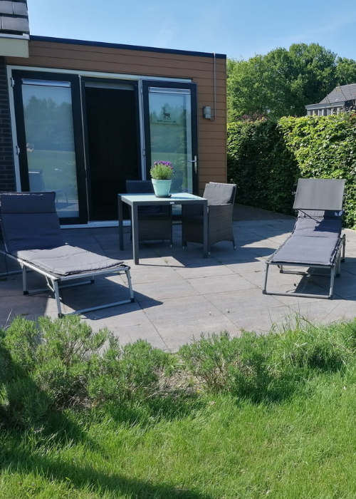 Untitled design (24)