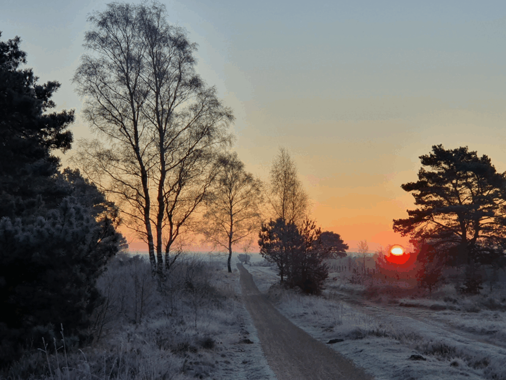 Untitled design (25)